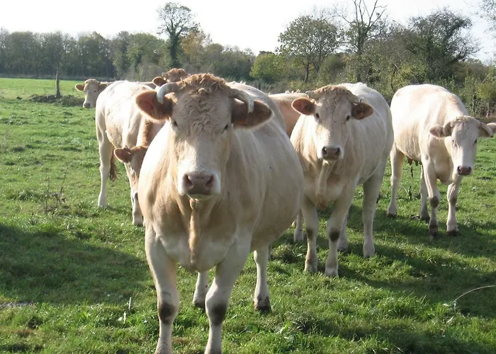 Casa vacanze La Ferme De Montigny Asnieres-en-Bessin